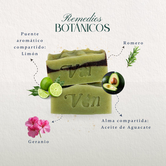 Aguacate Lovers
